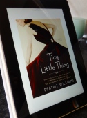 Tiny Little Things by Beatriz Williams